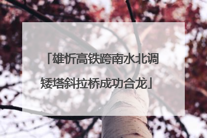 雄忻高铁跨南水北调矮塔斜拉桥成功合龙