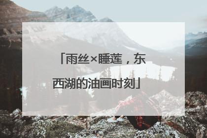 雨丝×睡莲，东西湖的油画时刻
