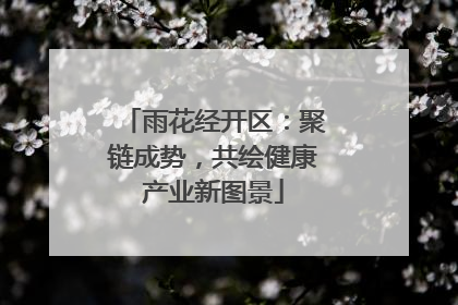 雨花经开区：聚链成势，共绘健康产业新图景