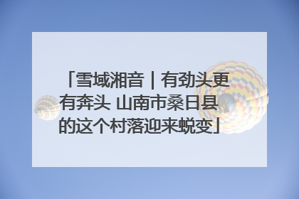 雪域湘音｜有劲头更有奔头 山南市桑日县的这个村落迎来蜕变