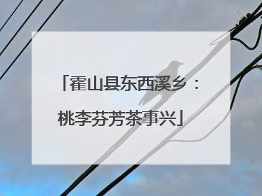 霍山县东西溪乡：桃李芬芳茶事兴