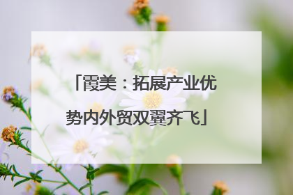 霞美：拓展产业优势内外贸双翼齐飞
