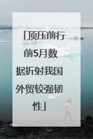 顶压前行 前5月数据折射我国外贸较强韧性