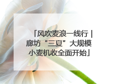 风吹麦浪一线行｜廊坊“三夏”大规模小麦机收全面开始