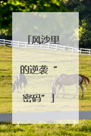 风沙里的逆袭“密码”