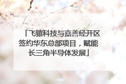 飞骧科技与嘉善经开区签约华东总部项目，赋能长三角半导体发展