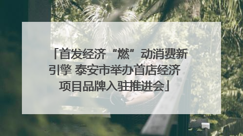 首发经济“燃”动消费新引擎 泰安市举办首店经济项目品牌入驻推进会