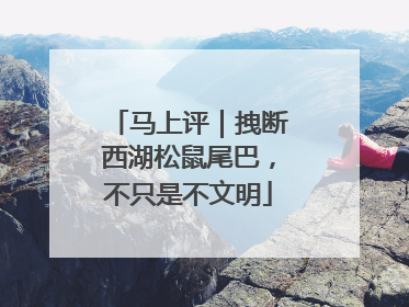马上评｜拽断西湖松鼠尾巴，不只是不文明