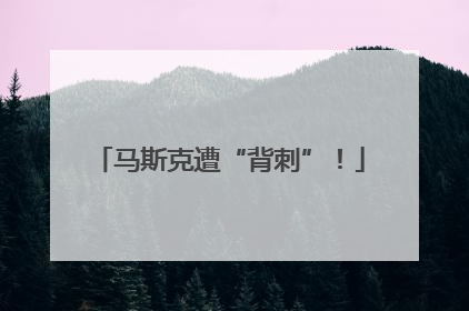 马斯克遭“背刺”！
