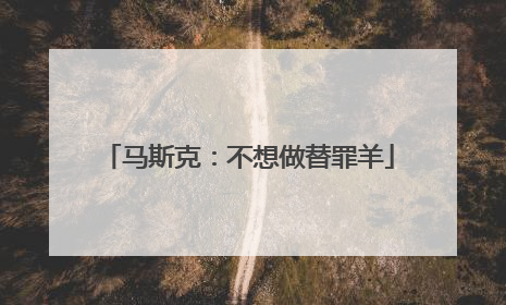 马斯克：不想做替罪羊