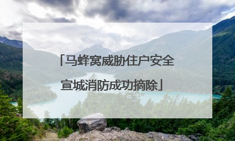 马蜂窝威胁住户安全 宣城消防成功摘除