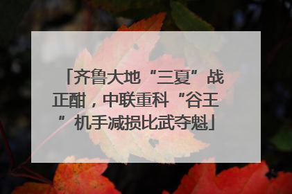 齐鲁大地“三夏”战正酣，中联重科“谷王”机手减损比武夺魁