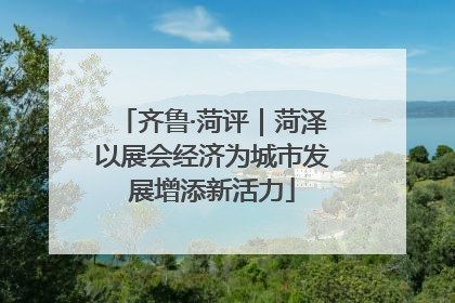 齐鲁·菏评｜菏泽以展会经济为城市发展增添新活力