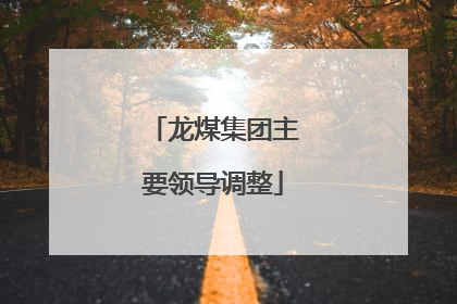 龙煤集团主要领导调整
