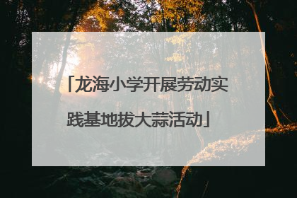 龙海小学开展劳动实践基地拔大蒜活动