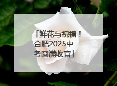 鲜花与祝福！合肥2025中考圆满收官