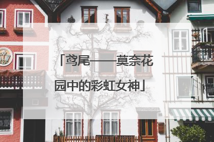 鸢尾——莫奈花园中的彩虹女神