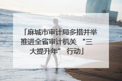 麻城市审计局多措并举推进全省审计机关 “三大提升年” 行动