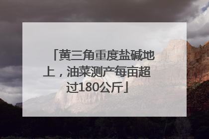 黄三角重度盐碱地上，油菜测产每亩超过180公斤