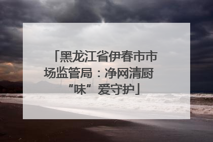 黑龙江省伊春市市场监管局：净网清厨 “味”爱守护