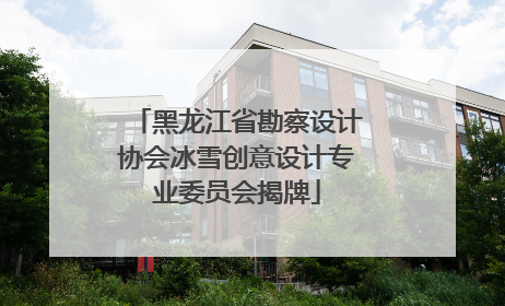 黑龙江省勘察设计协会冰雪创意设计专业委员会揭牌