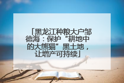 黑龙江种粮大户邹德海：保护“耕地中的大熊猫”黑土地，让增产可持续