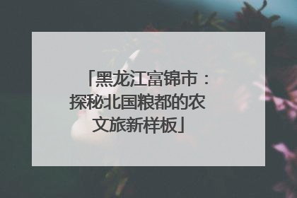 黑龙江富锦市：探秘北国粮都的农文旅新样板