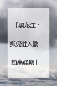 黑龙江：狮虎进入繁殖高峰期
