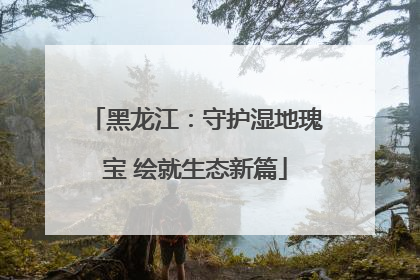 黑龙江：守护湿地瑰宝 绘就生态新篇