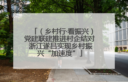 （乡村行·看振兴）党建联建推进村企结对 浙江遂昌实现乡村振兴“加速度”