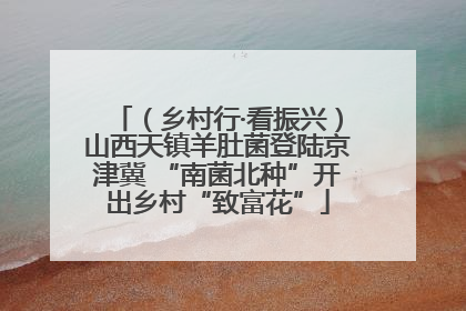 （乡村行·看振兴）山西天镇羊肚菌登陆京津冀 “南菌北种”开出乡村“致富花”