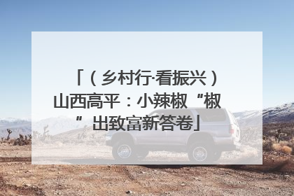 （乡村行·看振兴）山西高平：小辣椒“椒”出致富新答卷