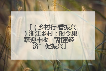 （乡村行·看振兴）浙江乡村：时令果蔬迎丰收 “甜蜜经济”促振兴