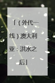 （外代一线）澳大利亚：洪水之后