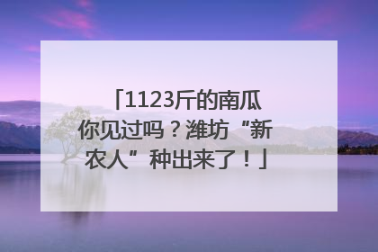 1123斤的南瓜你见过吗？潍坊“新农人”种出来了！