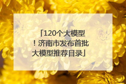 120个大模型！济南市发布首批大模型推荐目录