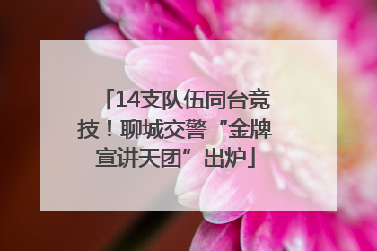 14支队伍同台竞技！聊城交警“金牌宣讲天团”出炉
