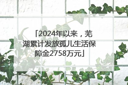 2024年以来，芜湖累计发放孤儿生活保障金2758万元