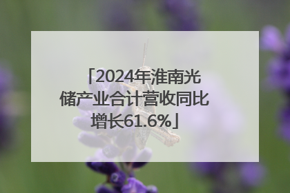 2024年淮南光储产业合计营收同比增长61.6%