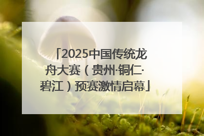 2025中国传统龙舟大赛（贵州·铜仁·碧江）预赛激情启幕