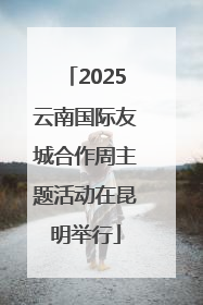 2025云南国际友城合作周主题活动在昆明举行
