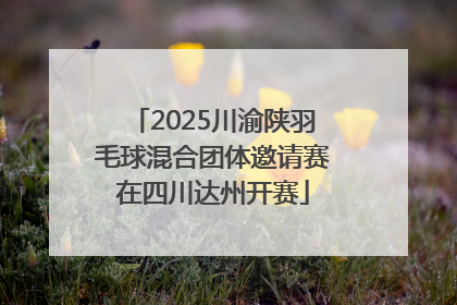 2025川渝陕羽毛球混合团体邀请赛在四川达州开赛