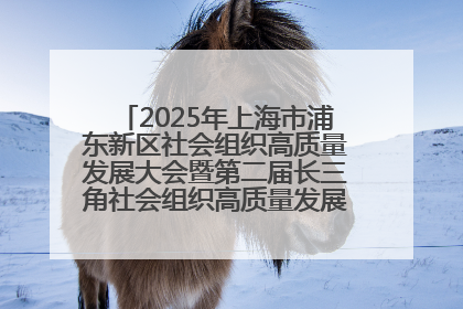 2025年上海市浦东新区社会组织高质量发展大会暨第二届长三角社会组织高质量发展峰会成功举办