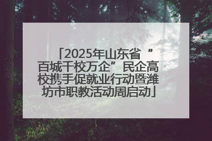 2025年山东省“百城千校万企”民企高校携手促就业行动暨潍坊市职教活动周启动