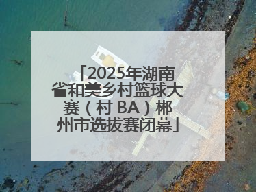 2025年湖南省和美乡村篮球大赛（村 BA）郴州市选拔赛闭幕