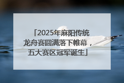 2025年麻阳传统龙舟赛圆满落下帷幕，五大赛区冠军诞生