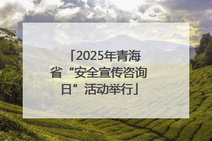 2025年青海省“安全宣传咨询日”活动举行