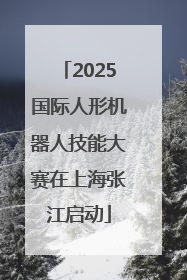 2025国际人形机器人技能大赛在上海张江启动