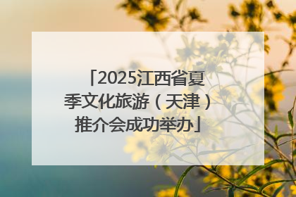 2025江西省夏季文化旅游（天津）推介会成功举办