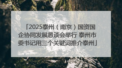 2025泰州（南京）国资国企协同发展恳谈会举行 泰州市委书记用三个关键词推介泰州